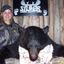 Big Manitoba black bear